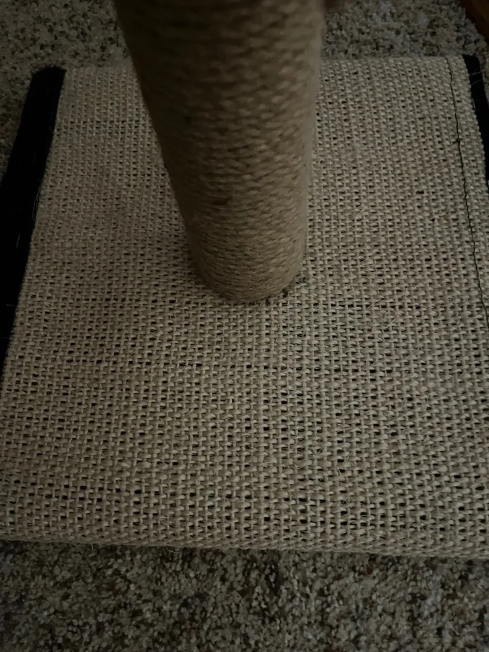 Beige Sisal Cat Scratching Post with Hanging Ball